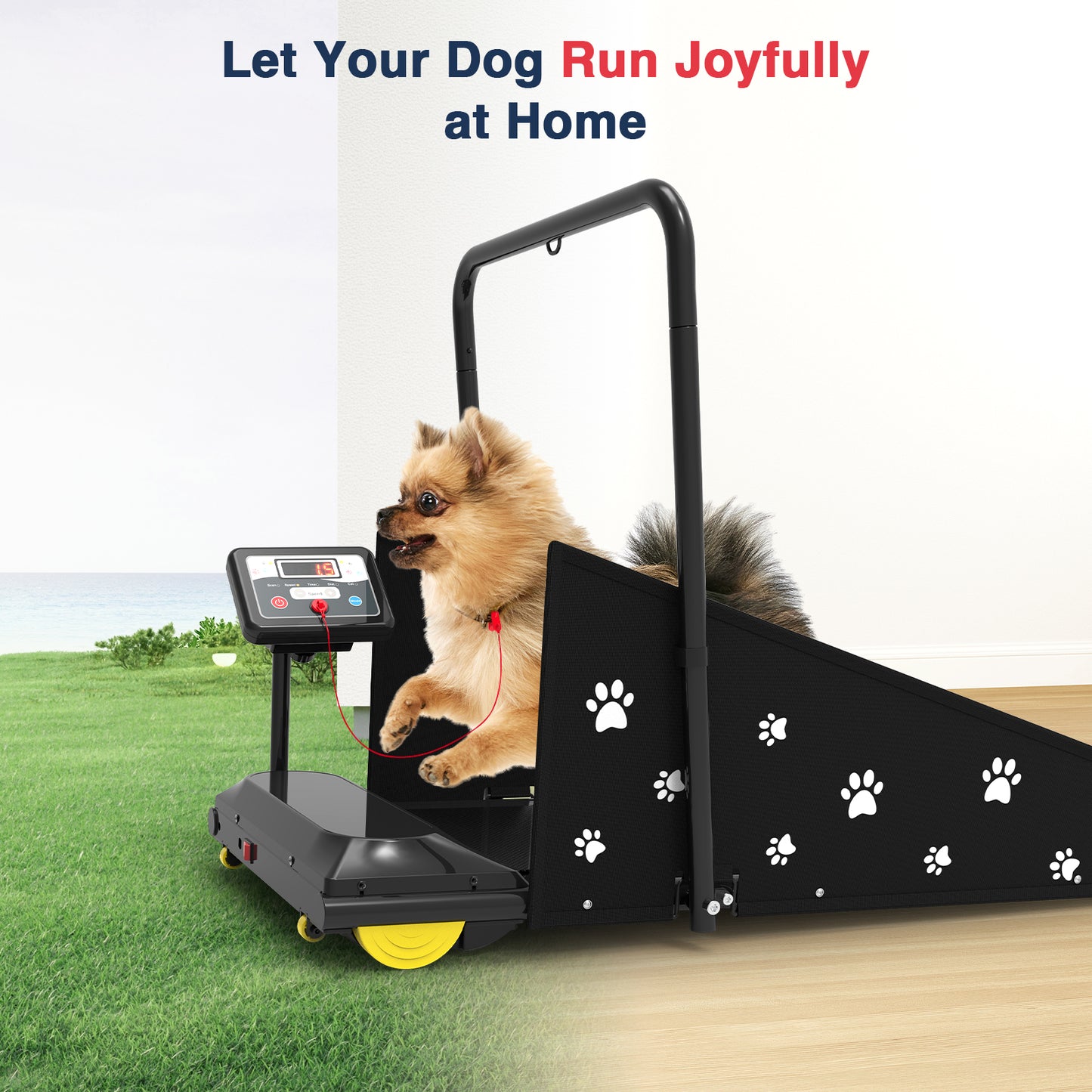 Treadmill for S/M-Size Pets #JK08F
